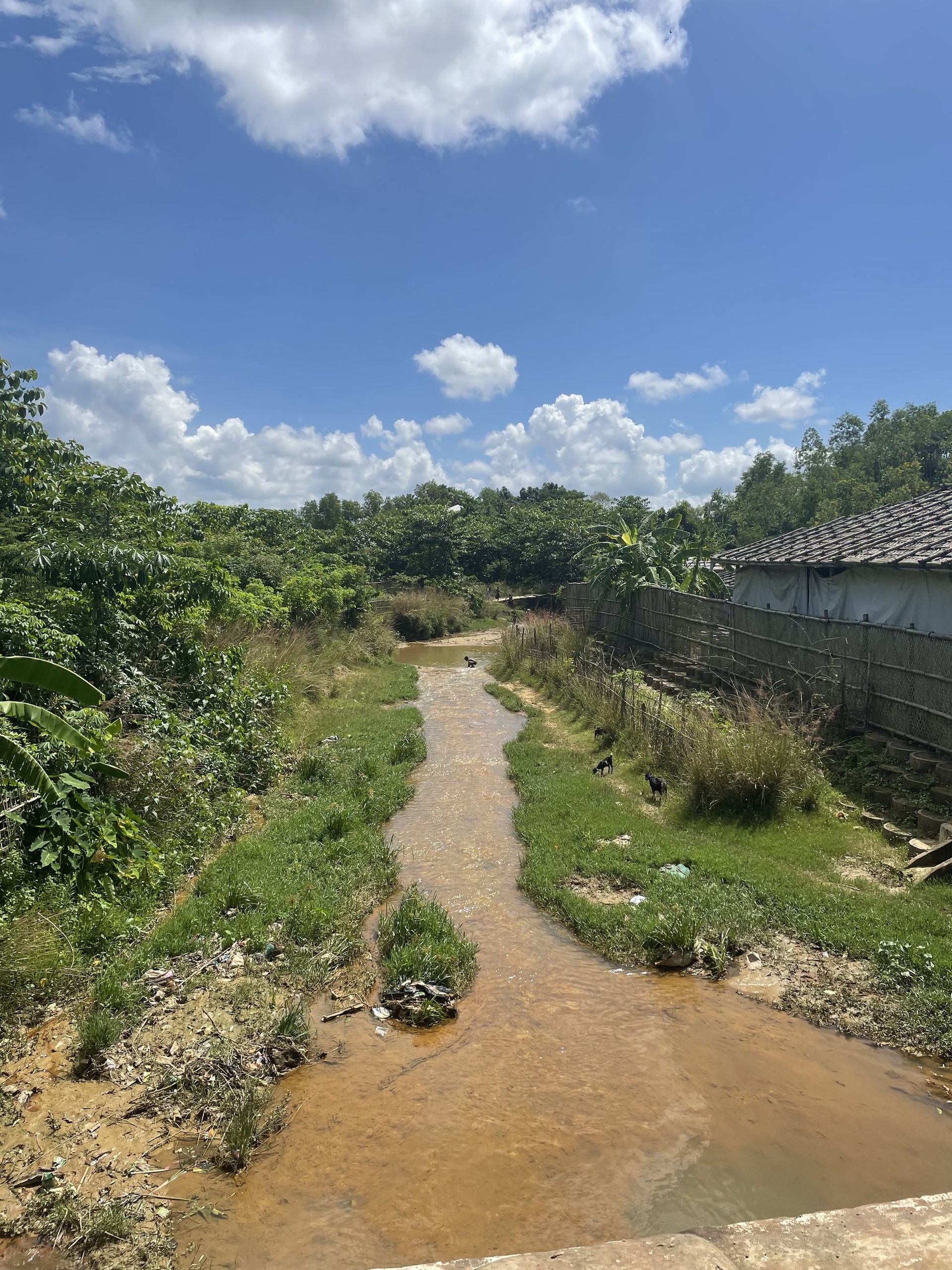 キャンプ内の小学校