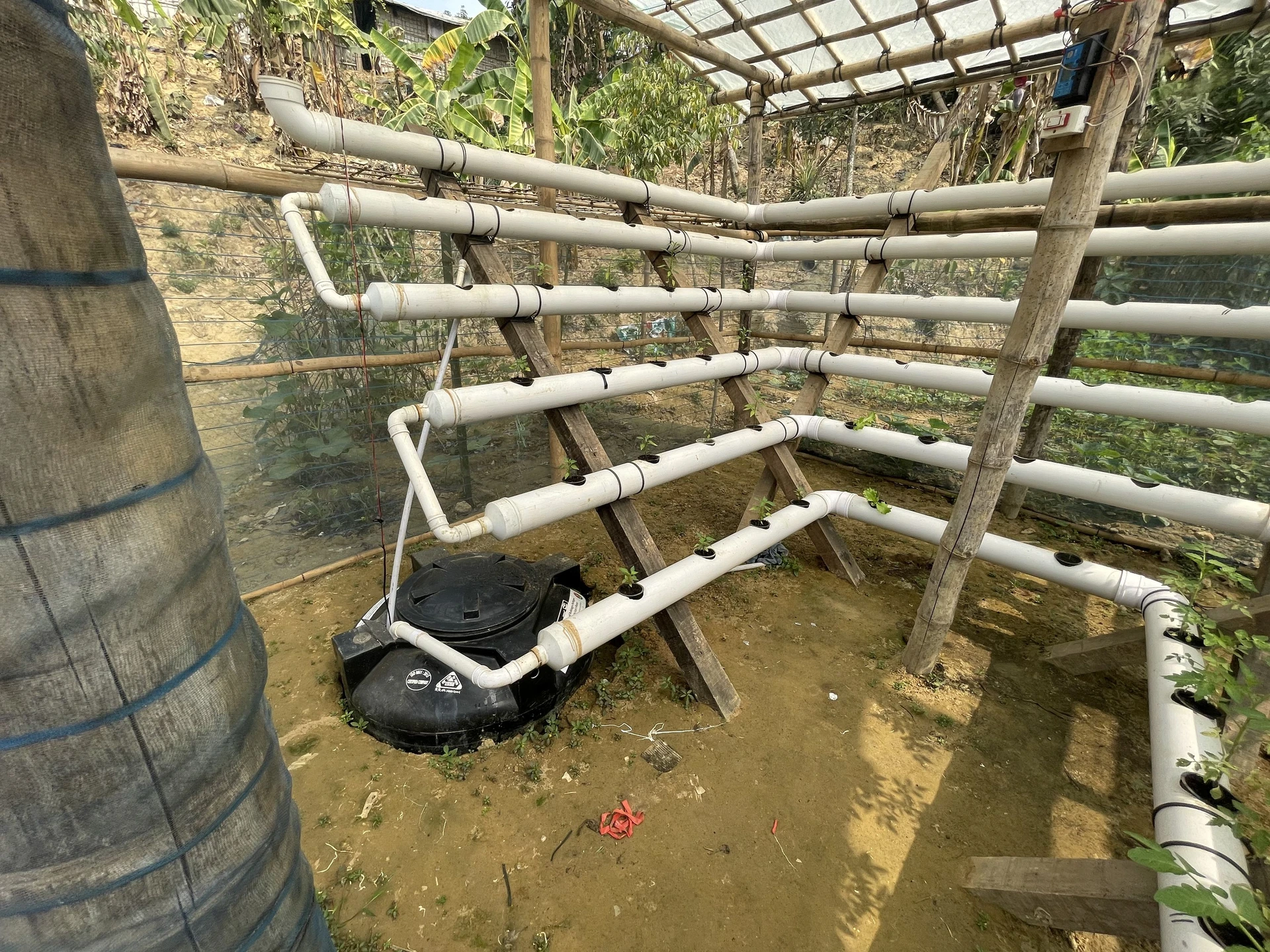 ディスカッションの様子